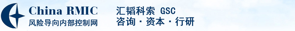 风险导向内部控制网—风险管理与内部控制领域最具影响力的专业资讯与专家咨询平台（咨询公司机构）之一